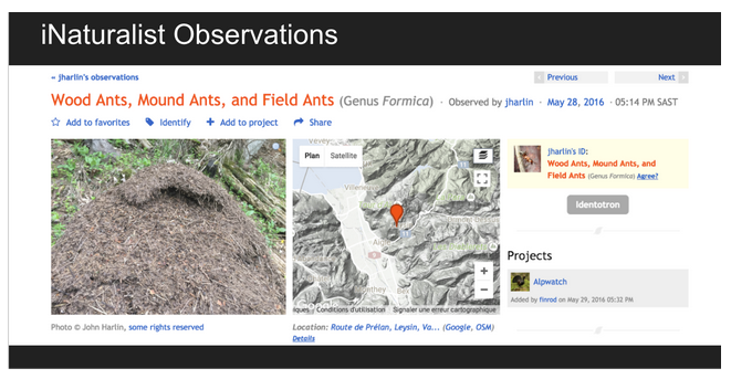 Image of iNaturalist Website